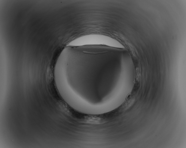 X0000086750471200705111658