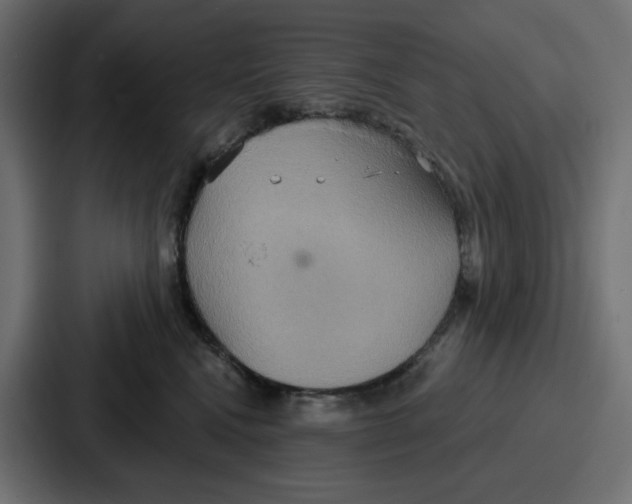 X0000086750472200705111659