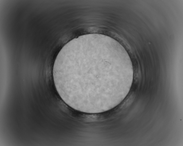 X0000086750473200705111659