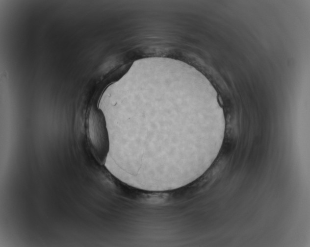 X0000086750474200705111659