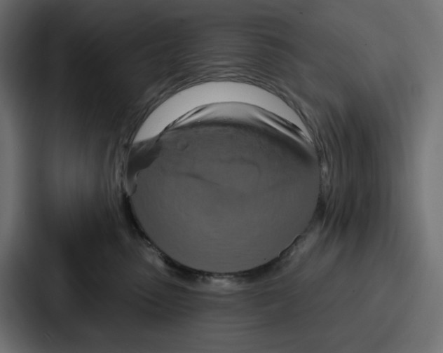 X0000086750475200705111659
