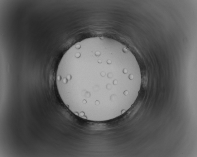 X0000086750476200705111659