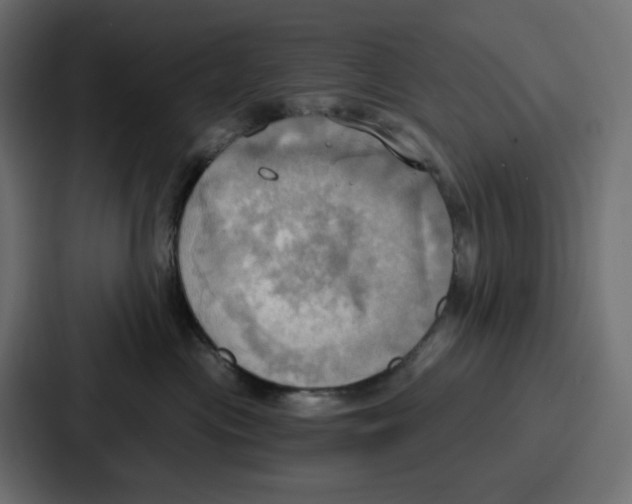 X0000086750477200705111659