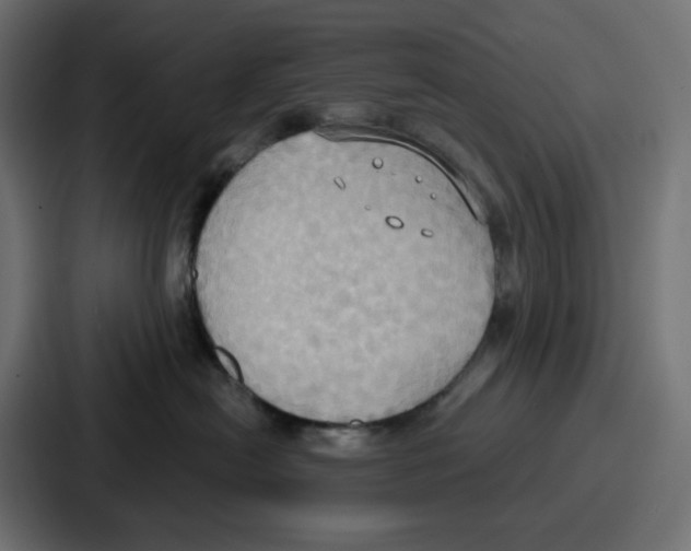 X0000086750478200705111659