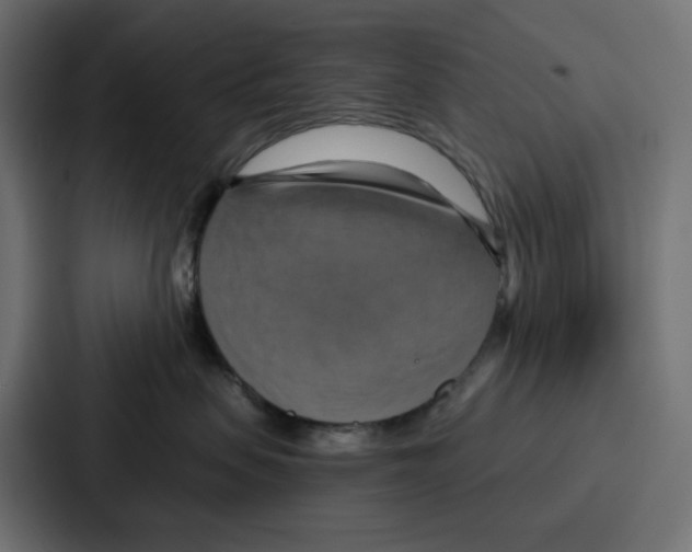 X0000086750479200705111659