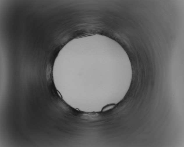 X0000086750480200705111659