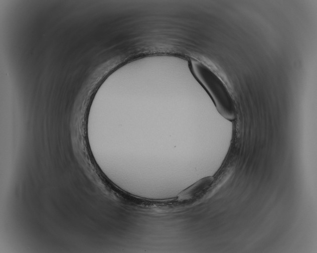 X0000086750481200705111658