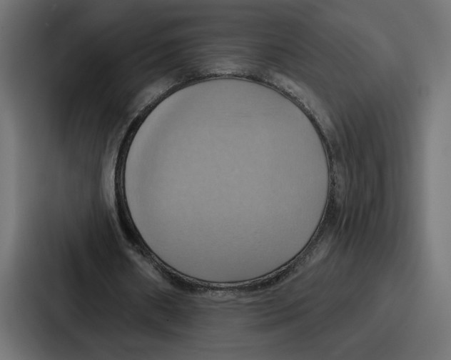 X0000086750482200705111658