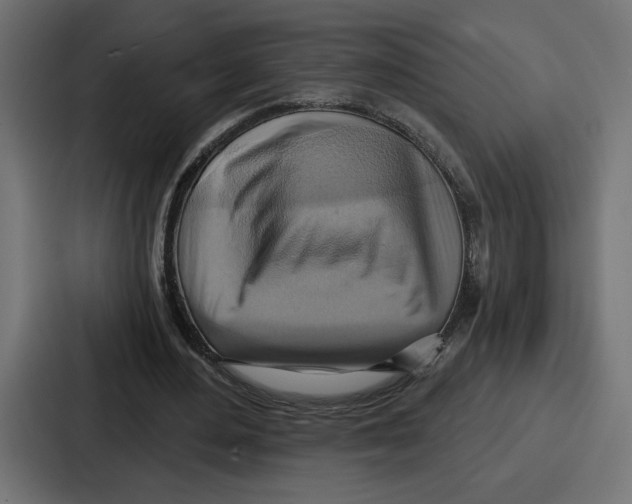 X0000086750484200705111658