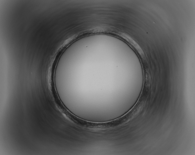 X0000086750485200705111658