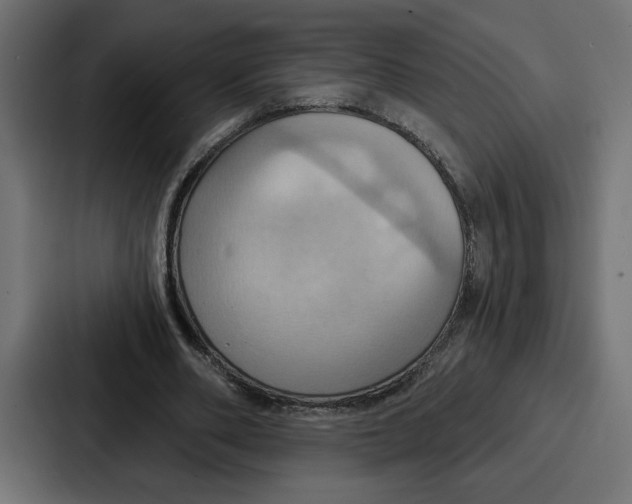 X0000086750486200705111658