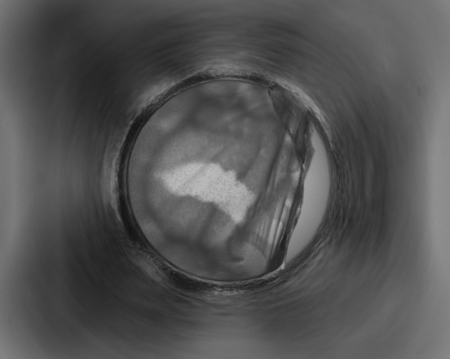 X0000086750487200705111658