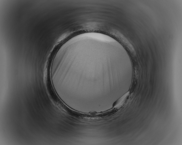 X0000086750488200705111658