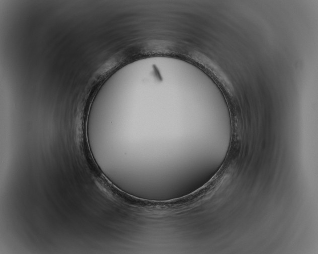 X0000086750489200705111658