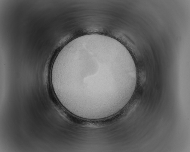 X0000086750490200705111658