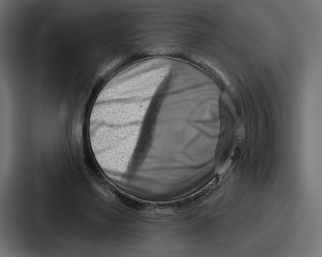 X0000086750491200705111658