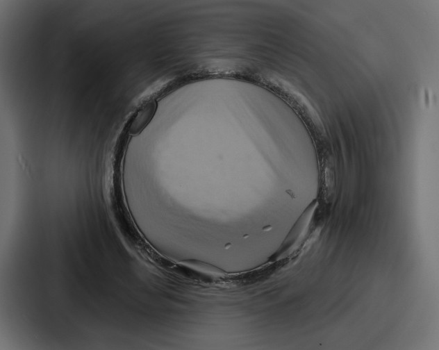 X0000086750492200705111658