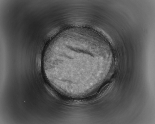 X0000086750493200705111658