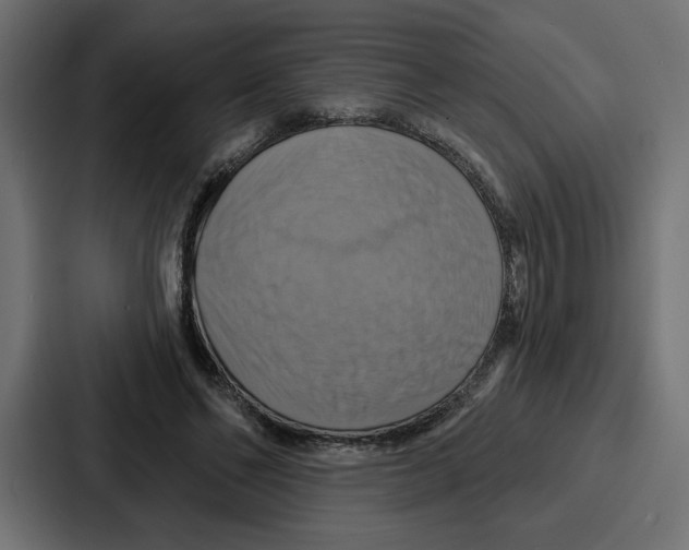X0000086750494200705111658