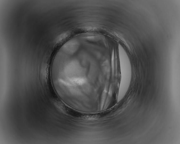 X0000086750495200705111658