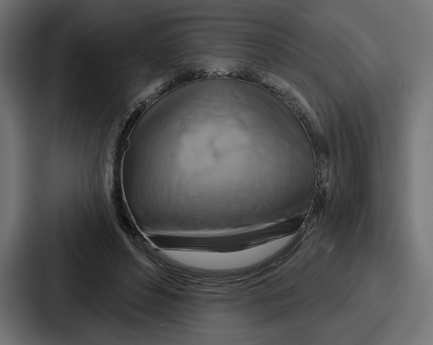 X0000086750496200705111658