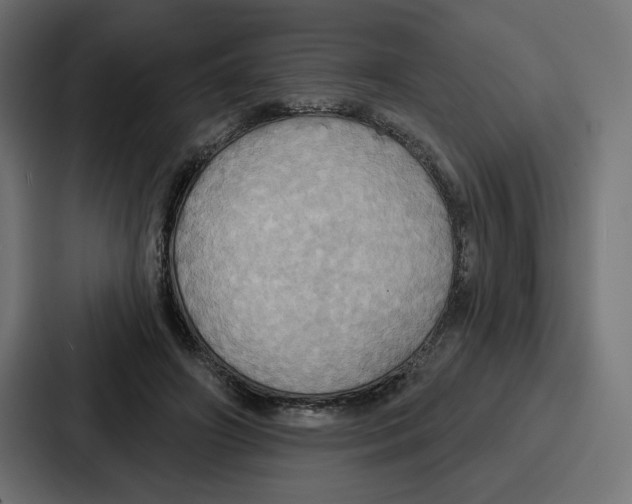 X0000086750498200705111658