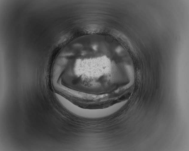 X0000086750499200705111658