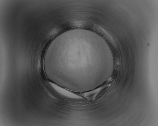 X0000086750500200705111658