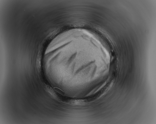 X0000086750501200705111658