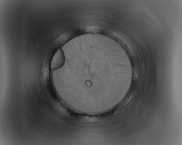 X0000086750502200705111658