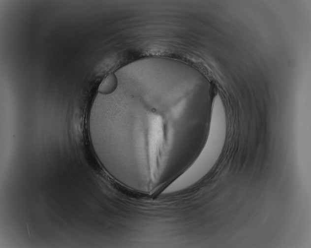 X0000086750503200705111658