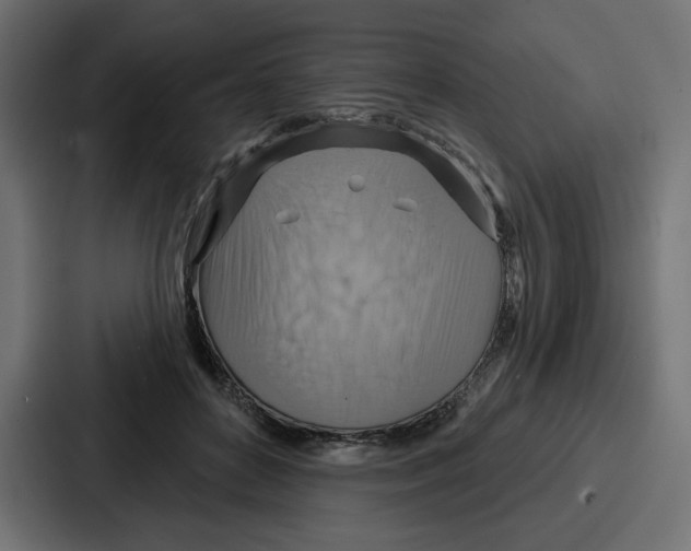 X0000086750504200705111658