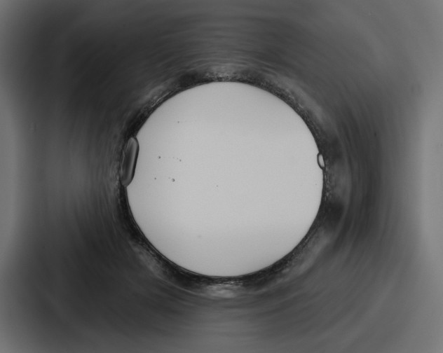 X0000086750505200705111657