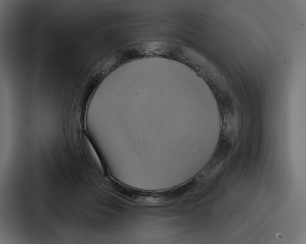X0000086750506200705111657