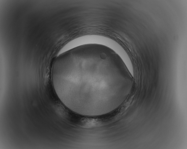 X0000086750507200705111657