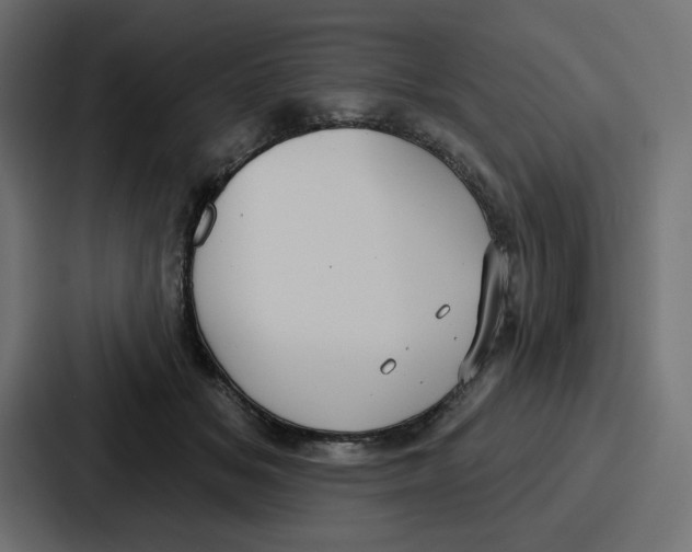 X0000086750509200705111657