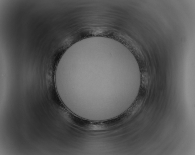 X0000086750510200705111657