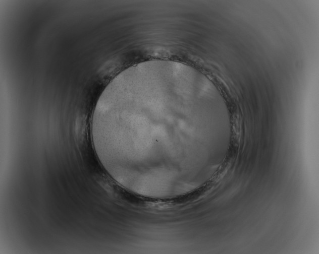 X0000086750511200705111657