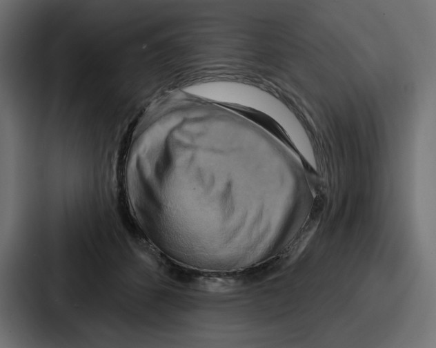 X0000086750512200705111657