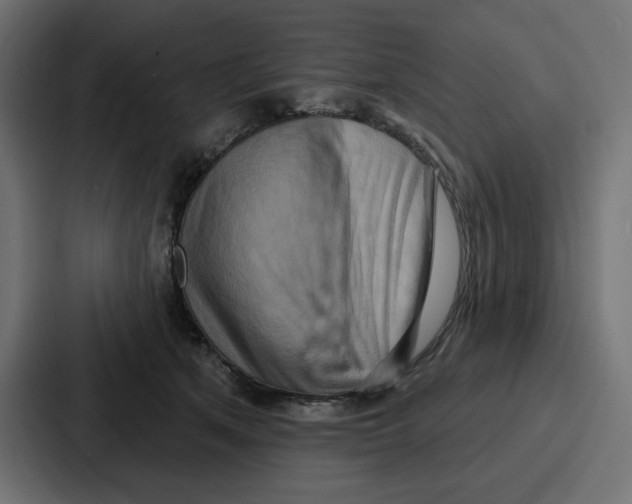 X0000086750513200705111657