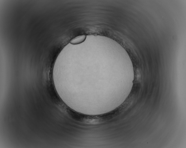 X0000086750514200705111657