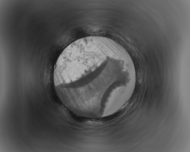 X0000086750515200705111657