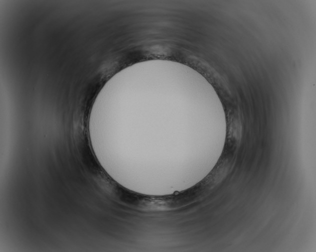 X0000086750518200705111657