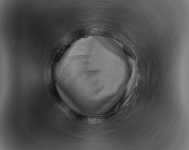 X0000086750520200705111657