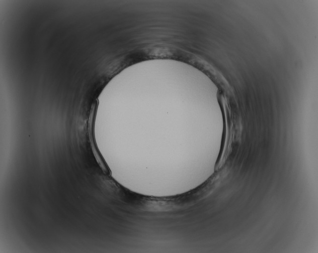 X0000086750521200705111657