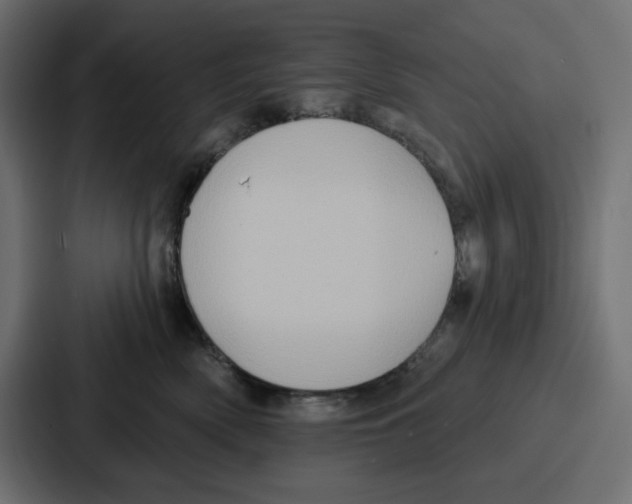 X0000086750522200705111657
