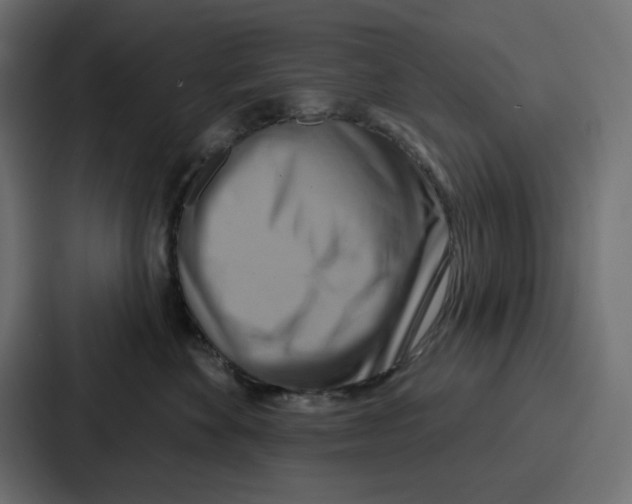 X0000086750524200705111657