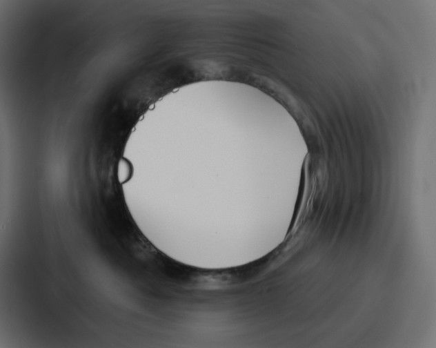 X0000086750525200705111657