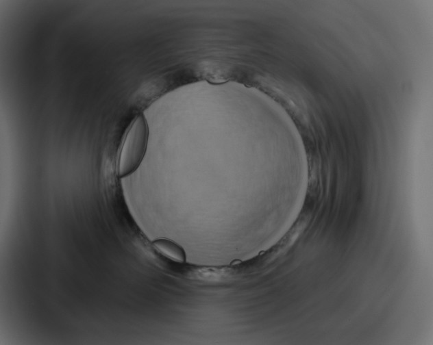 X0000086750526200705111657