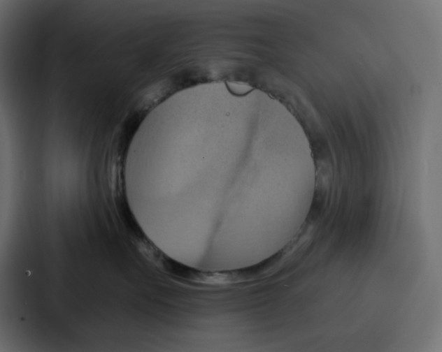 X0000086750527200705111657